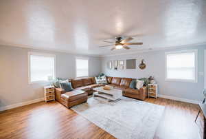 Living room featuring baseboards, ornamental molding, ceiling fan, and wood finished floors