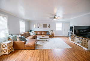 Living room with crown molding, a ceiling fan, baseboards, and wood finished floors