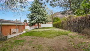 Upper back yard