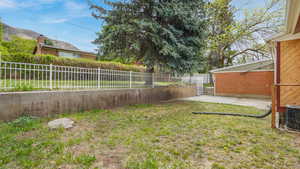 Back yard