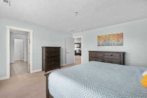 Carpeted bedroom with a textured ceiling, baseboards, visible vents, and tile patterned floors