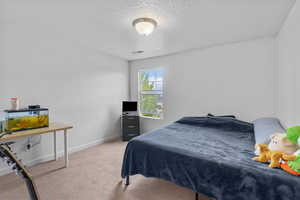 Bedroom with a textured ceiling, visible vents, baseboards, and carpet