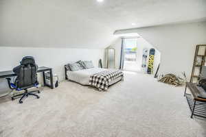 Carpeted bedroom with a textured ceiling and lofted ceiling