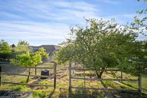 Garden area with fruit trees | chokecherry and pear