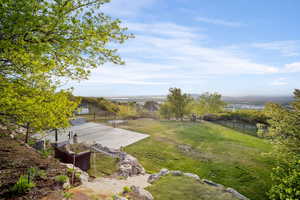 View of the yard