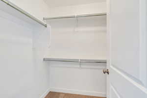 Walk in closet with carpet flooring