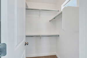 Spacious closet featuring carpet