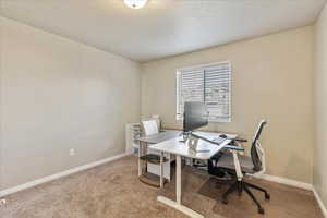 Carpeted office space featuring baseboards and a textured ceiling