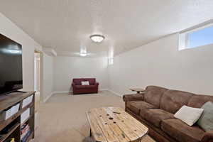 Living area with baseboards, a textured ceiling, and light colored carpet
