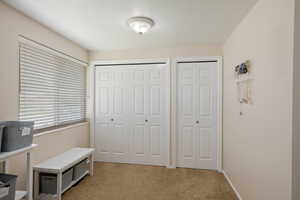 Interior space featuring multiple closets and light carpet
