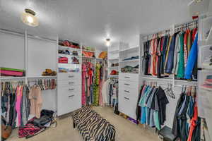 Walk in closet with carpet floors