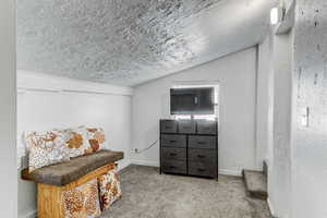 Living area with carpet floors, baseboards, vaulted ceiling, and a textured wall