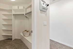 Spacious closet featuring carpet flooring