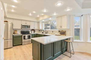 Kitchen with crown molding, green cabinetry, appliances with stainless steel finishes, a sink, and a tray ceiling