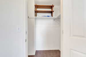 Spacious closet featuring carpet floors
