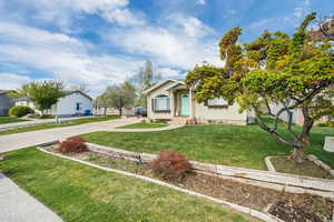 View of front of house featuring concrete driveway and a front yard