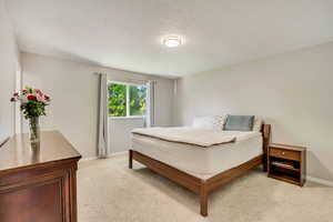 Bedroom with baseboards and light carpet