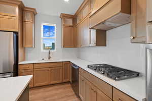 Kitchen featuring premium range hood, light countertops, a sink, appliances with stainless steel finishes, and backsplash