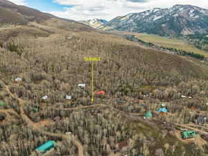 Birds eye view of property with a view of trees and a mountain view