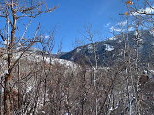 Property view of mountains