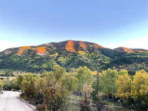 View of mountain feature with a forest view