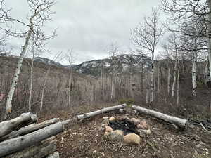 View of local wilderness featuring a forest view and a mountain view