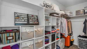Spacious closet featuring carpet