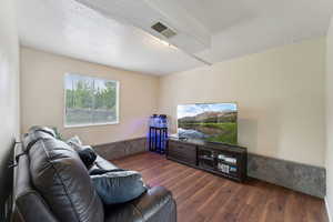 Downstairs Family Room