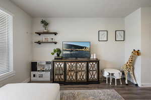 Interior space with baseboards, multiple windows, and wood finished floors