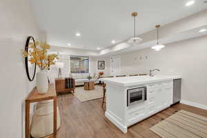 2nd kitchen, basement, walk-out