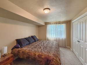 Spacious daylight basement bedroom with a large window and large closet.