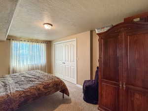 Spacious daylight basement bedroom with a large window and large closet.