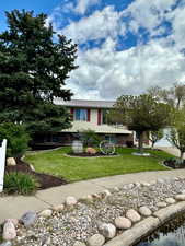 View of front of home with a front lawn and metal roof