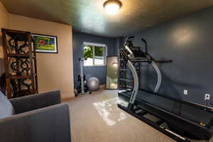 Workout room with baseboards, carpet flooring, a textured ceiling, and visible vents