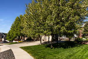 View of yard featuring fence and driveway