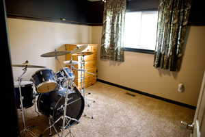 Rec room with baseboards, carpet, and visible vents