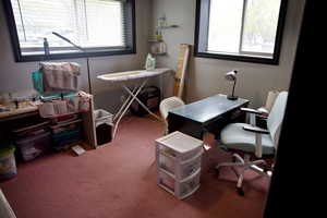 Carpeted office featuring plenty of natural light