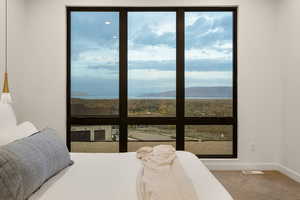 Bedroom with baseboards, carpet flooring, and multiple windows
