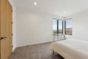 Bedroom featuring baseboards, carpet, and recessed lighting