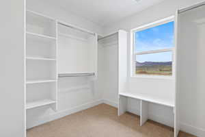Spacious closet with carpet flooring