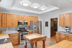 Kitchen featuring light wood-style floors, a sink, appliances with stainless steel finishes, and a tray ceiling
