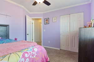 Bedroom with carpet, visible vents, a ceiling fan, ornamental molding, and a closet