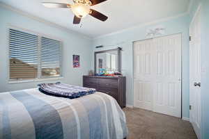 Bedroom featuring baseboards, ceiling fan, crown molding, and carpet flooring