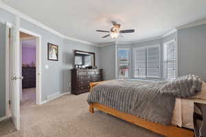 Carpeted bedroom with a ceiling fan, baseboards, crown molding, and visible vents