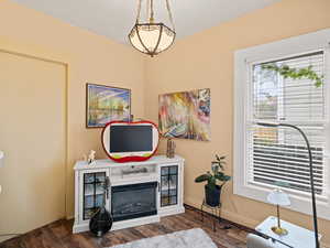 Interior space featuring a glass covered fireplace and wood finished floors