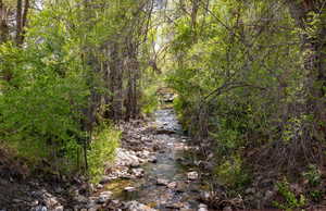 Yard backs to the American Fork River