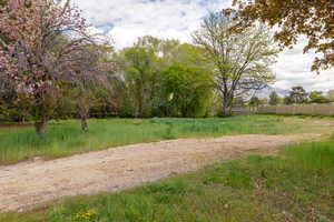 Photo 7 of 9768 N PHEASANT DR