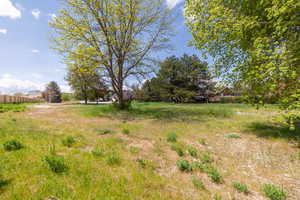 Photo 10 of 9768 N PHEASANT DR