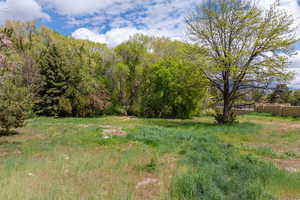 View of yard featuring fence