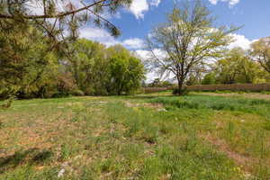 Photo 11 of 9768 N PHEASANT DR